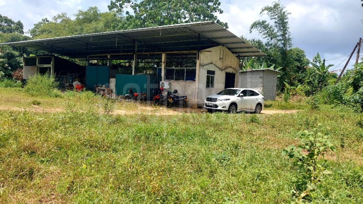Commercial Land for Sale in Horana