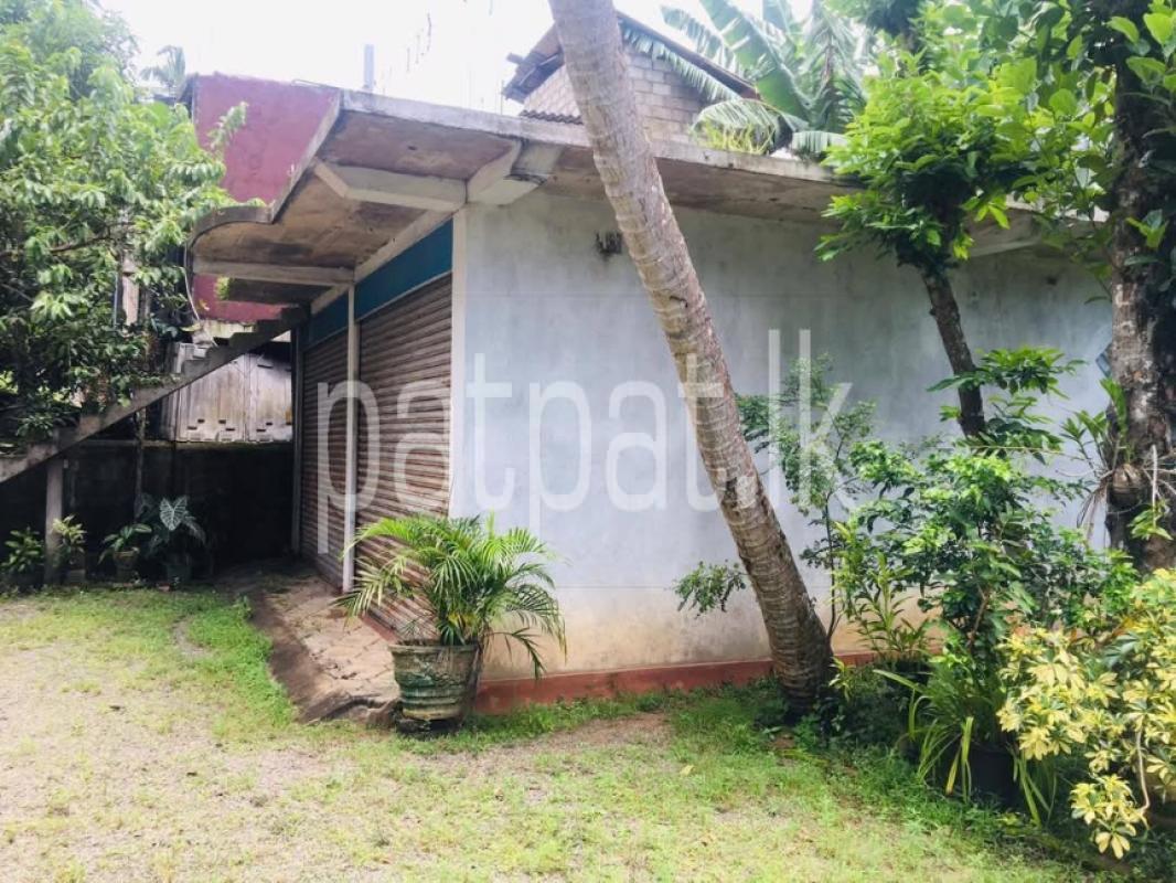 Advertisement image 6