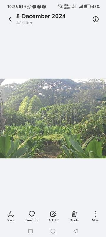 premium-listing-image