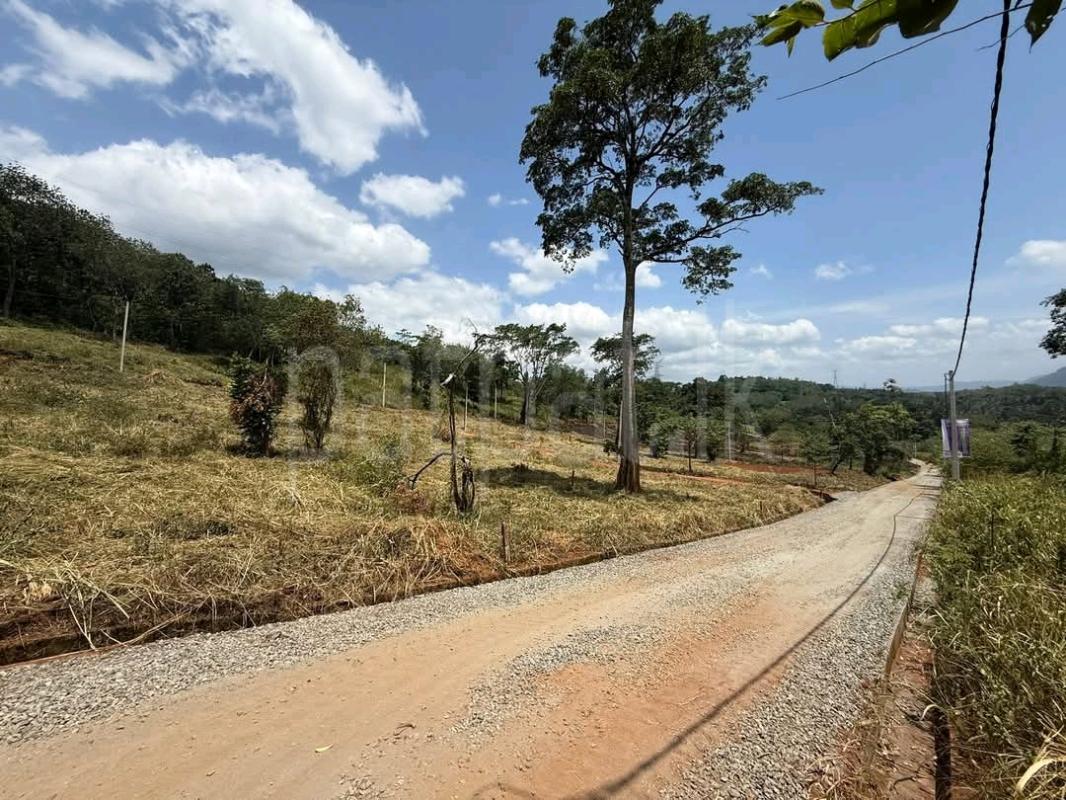 Residential Land for Sale in Beligamuwa