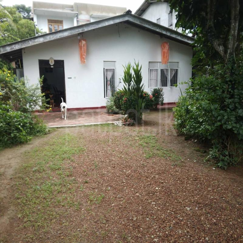 House for Sale in Rukmale