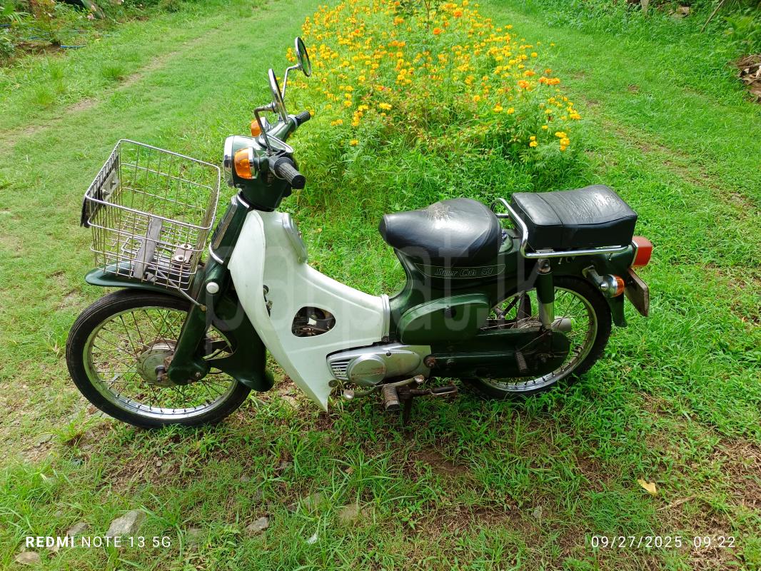 Advertisement image 3