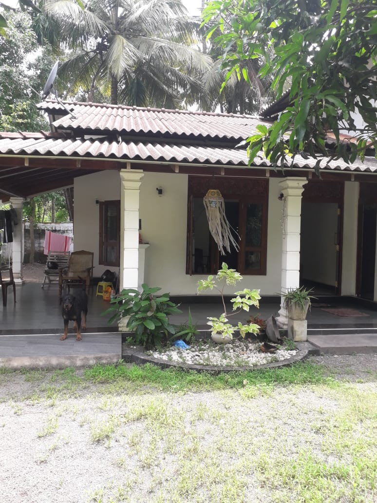 House for Sale in Katana