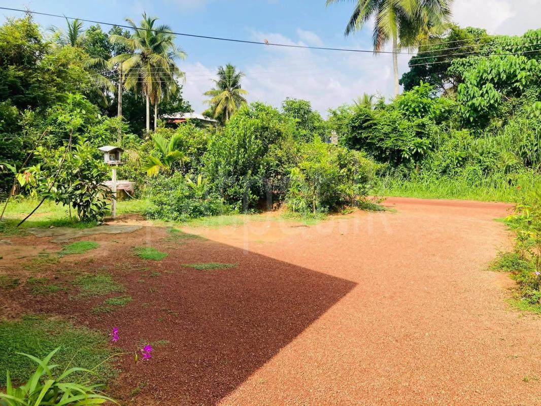 House for Sale in Nittambuwa