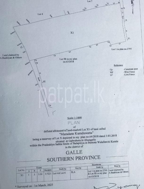 Advertisement image 1