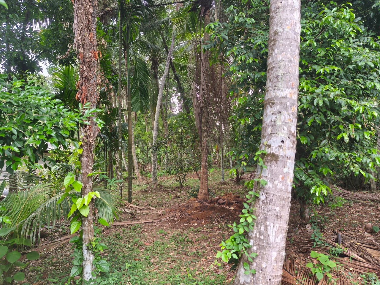 Residential Land for Sale in Kadawatha