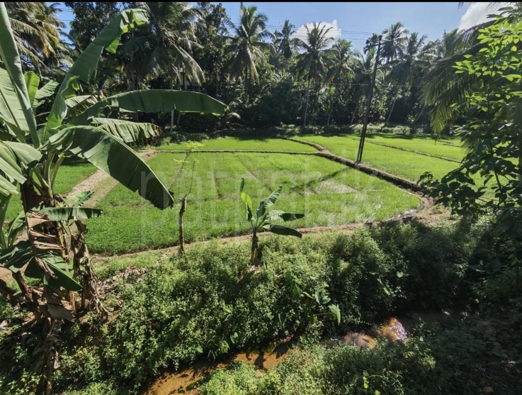 Residential Land for Sale in Godagama