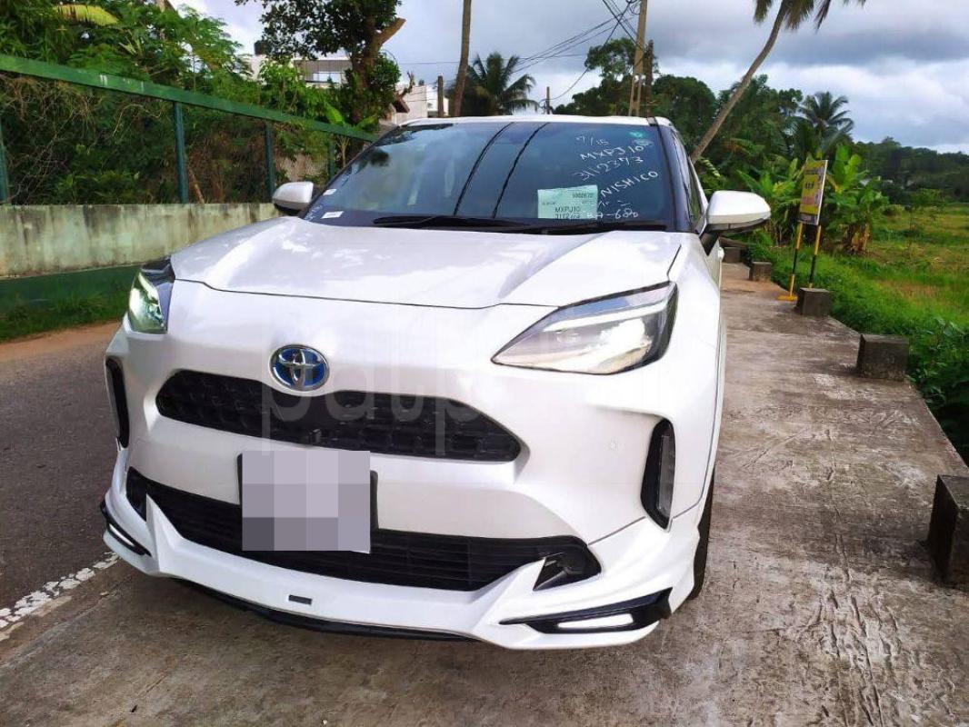 Advertisement image 5