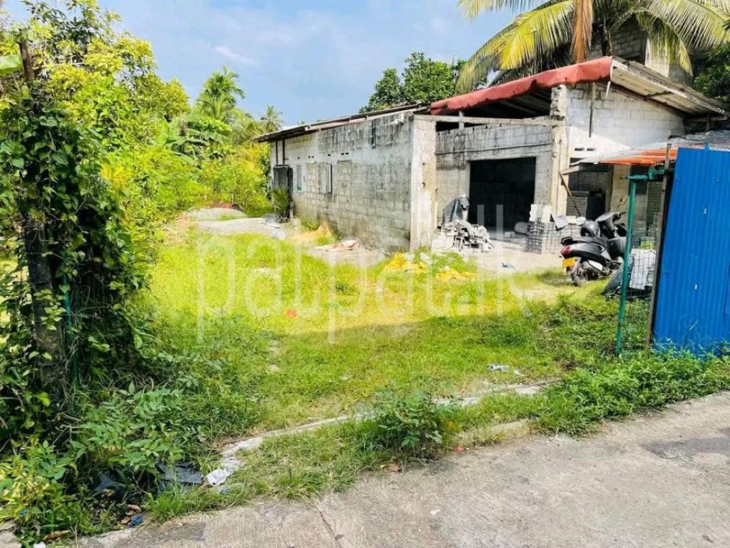 Advertisement image 1