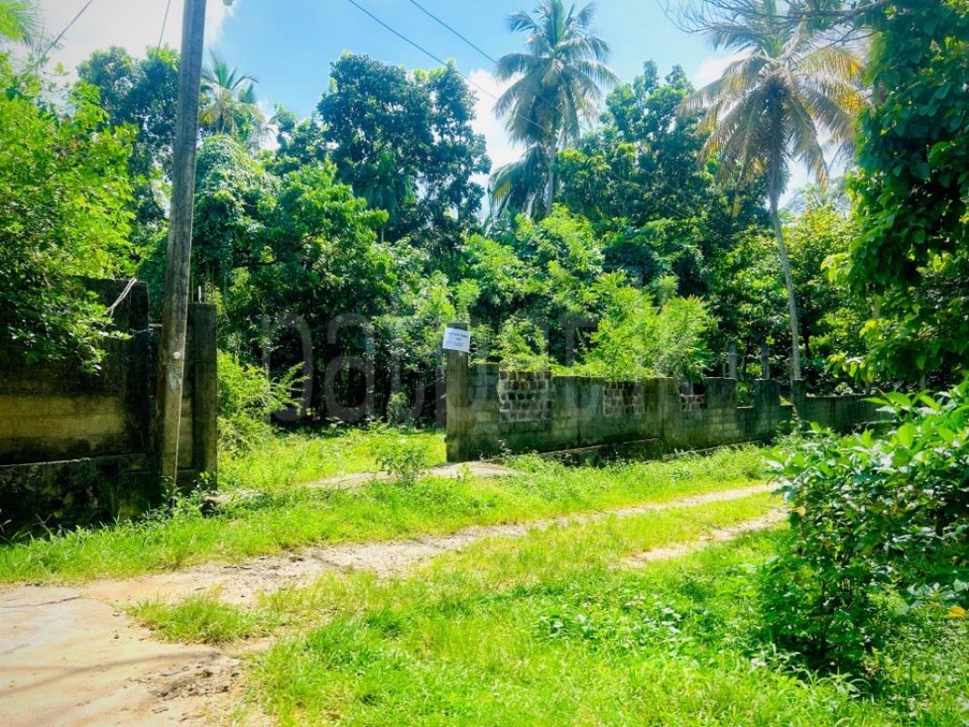 Residential Land for Sale in Ibbagamuwa ads-image-1