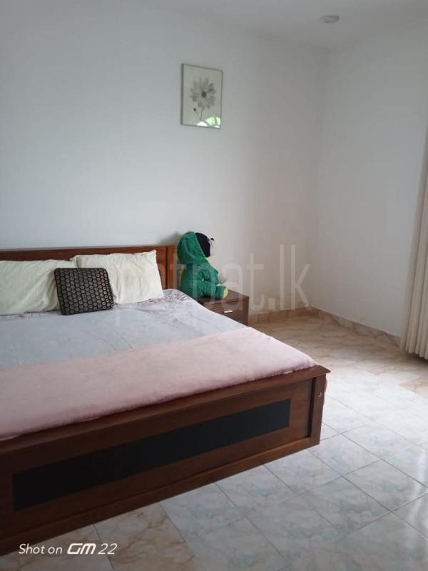 House for Rent in Homagama
