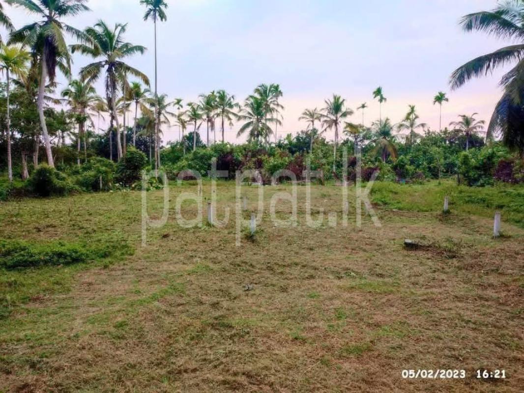 Agricultural Land for Sale in Panadura
