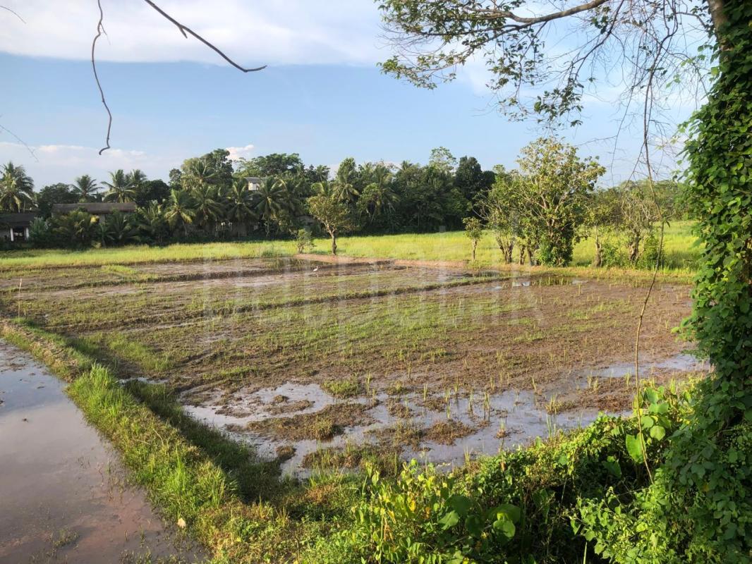 Residential Land for Sale in Athurugiriya