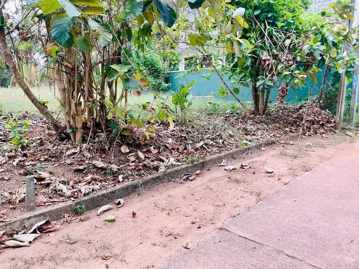 Commercial Land for Sale in Yakkala