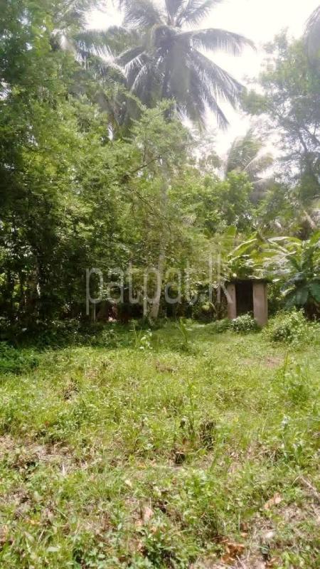 Agricultural Land for Sale in Wariyapola