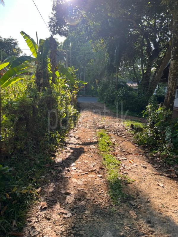 Commercial Land for Sale in Rambukkana