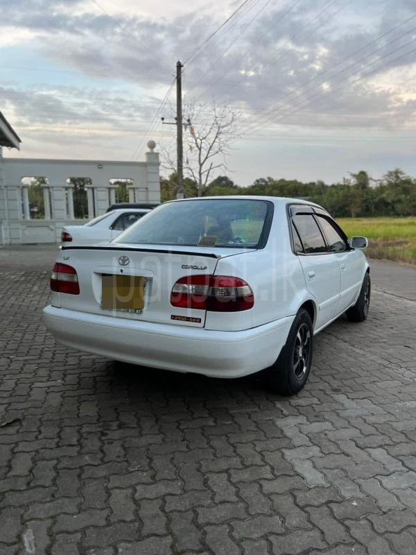 Advertisement image 4