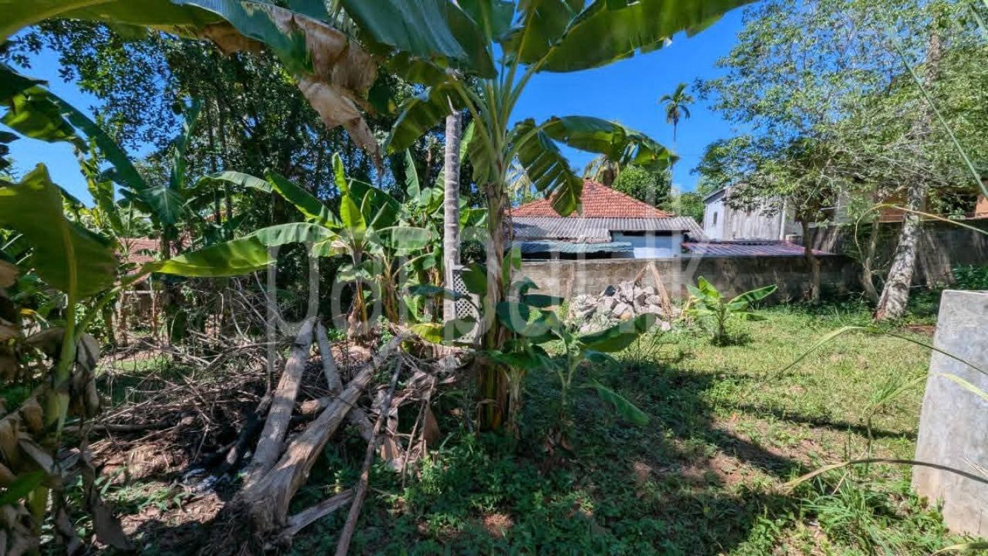 Residential Land for Sale in Ragama