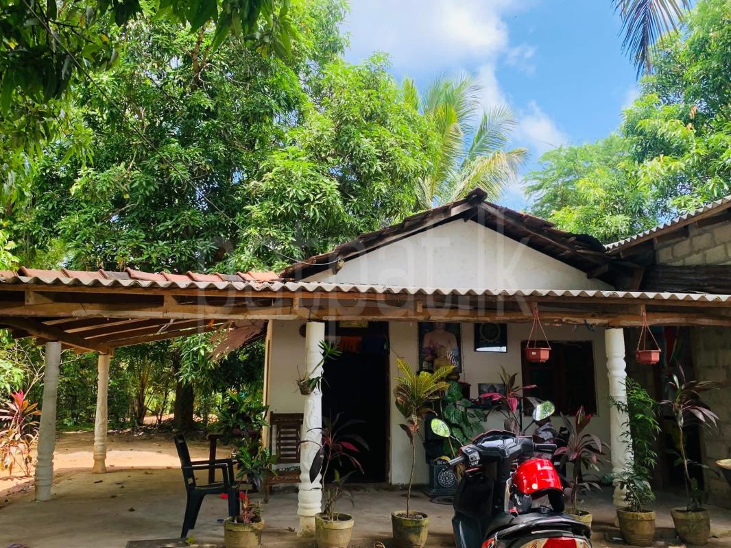 House for Sale in Anuradhapura