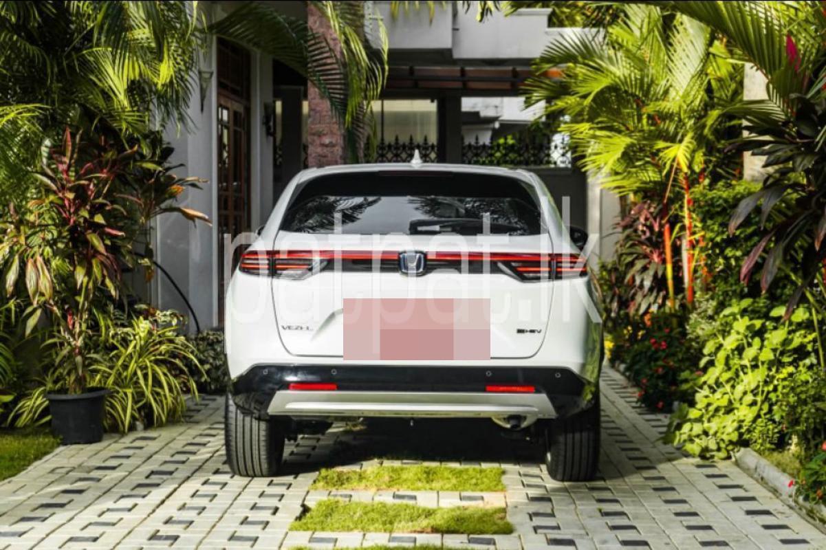 Advertisement image 6