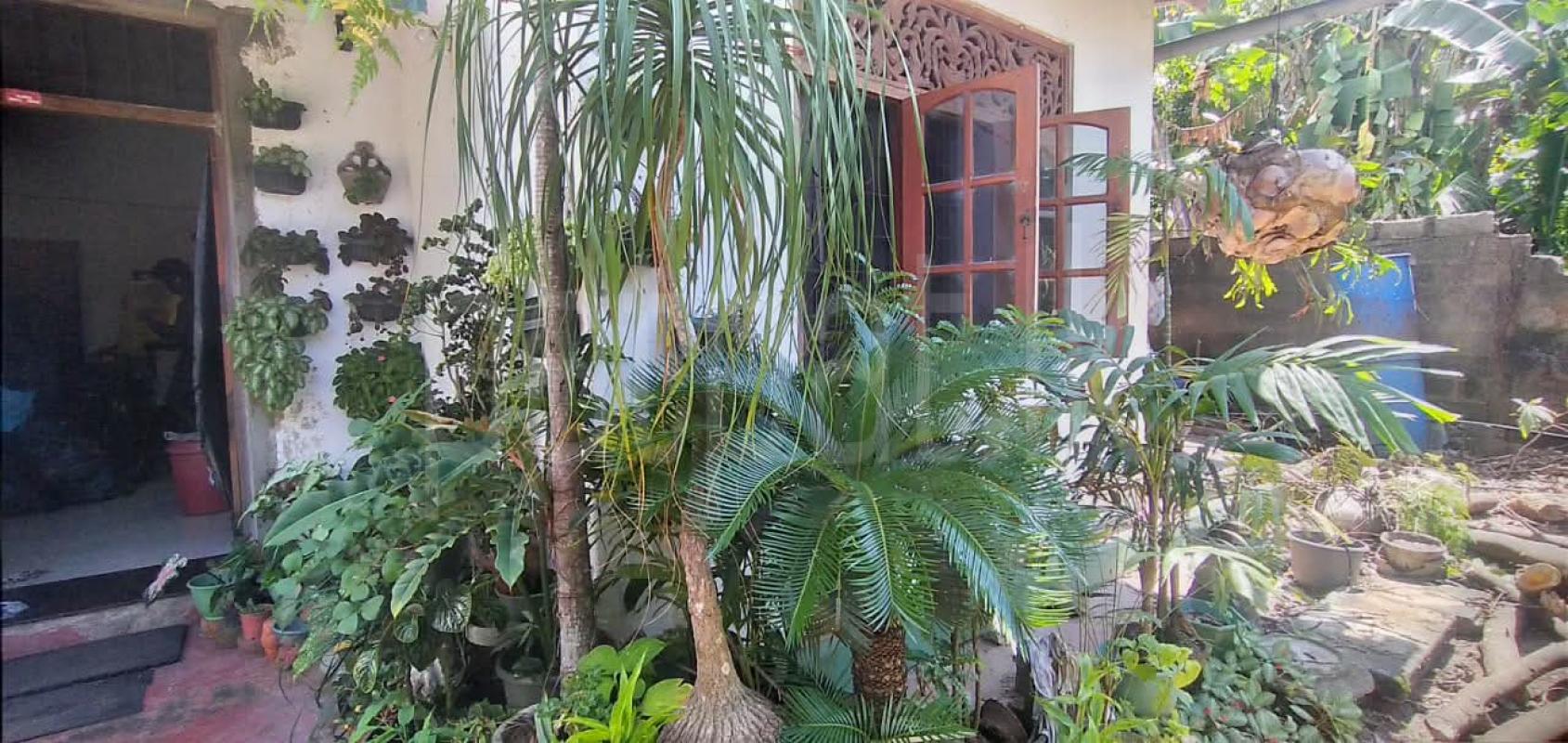 House for Sale in Boralesgamuwa