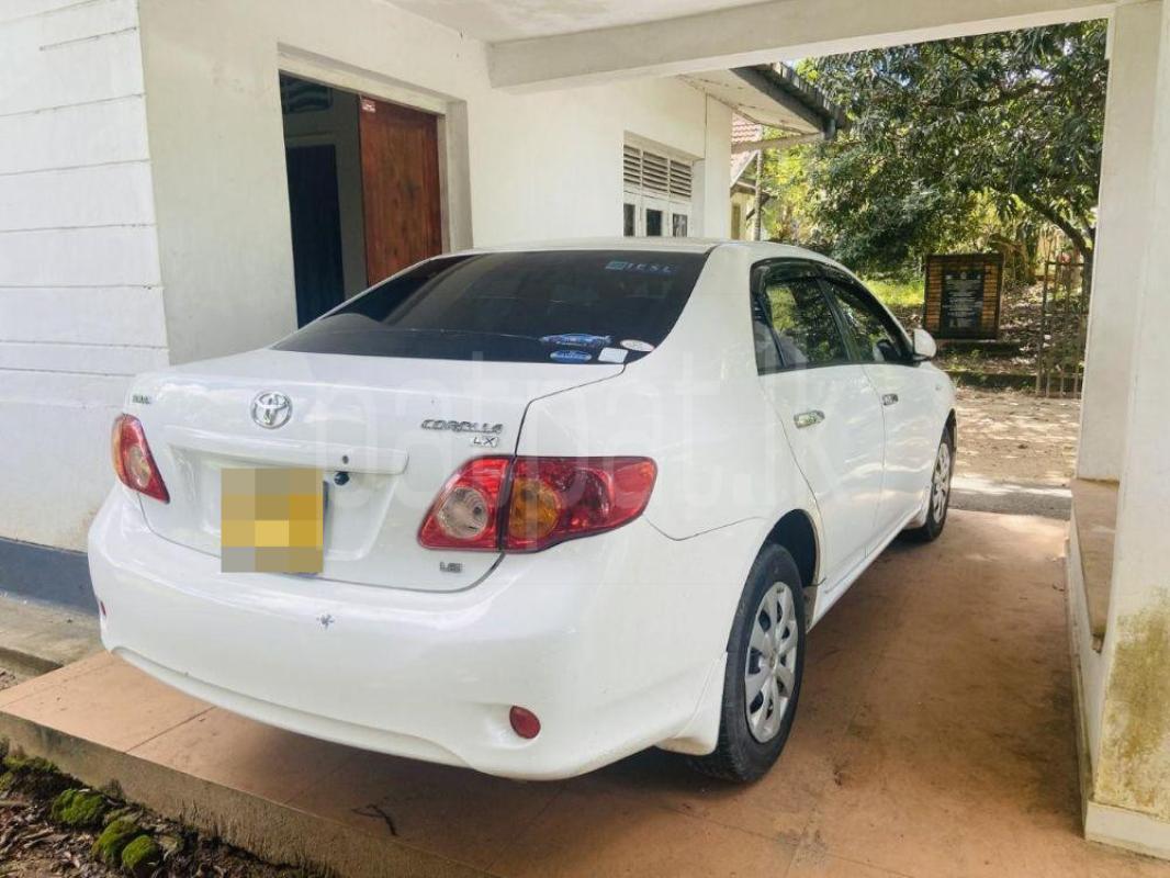 Advertisement image 2