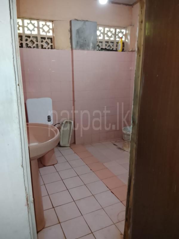 House for Rent in Panadura