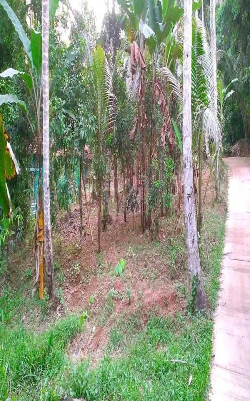 Residential Land for Sale in Nittambuwa ads-image-1