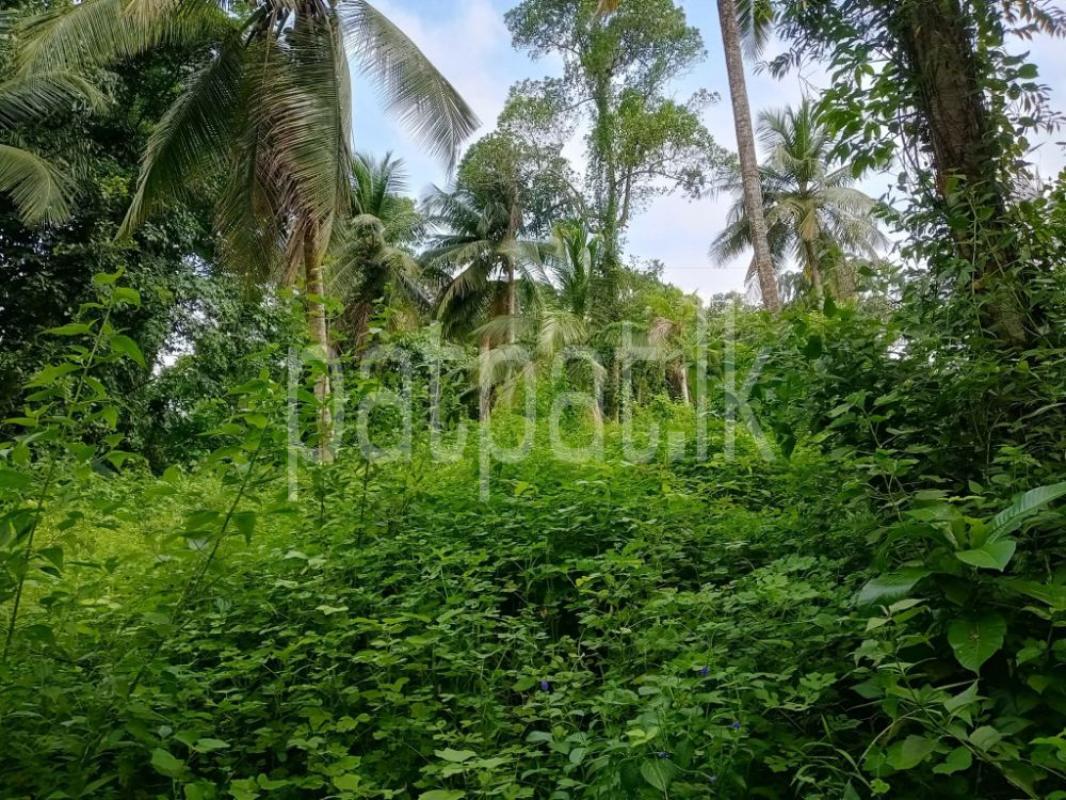 Advertisement image 1