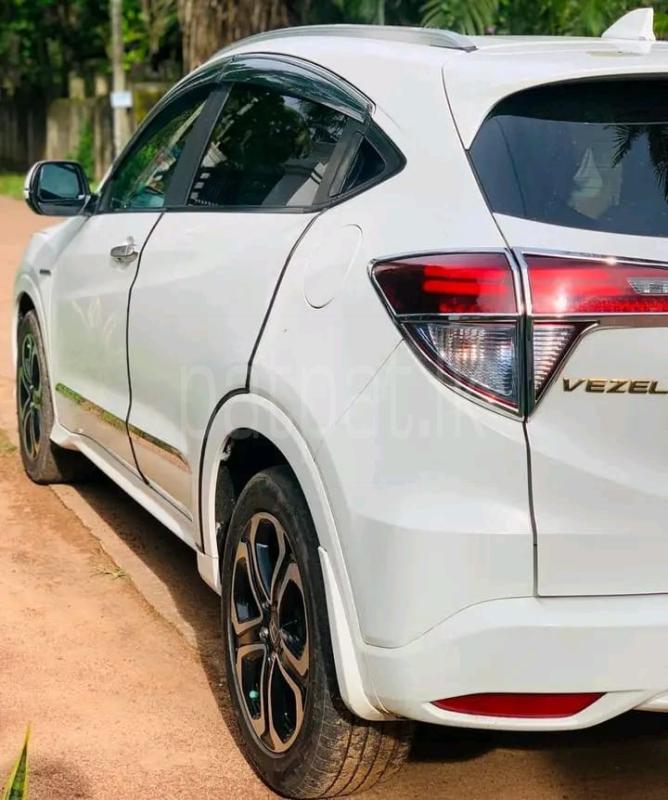 Advertisement image 3