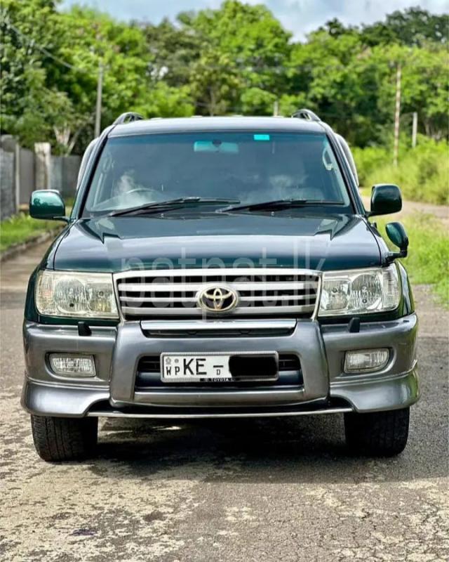 Advertisement image 3