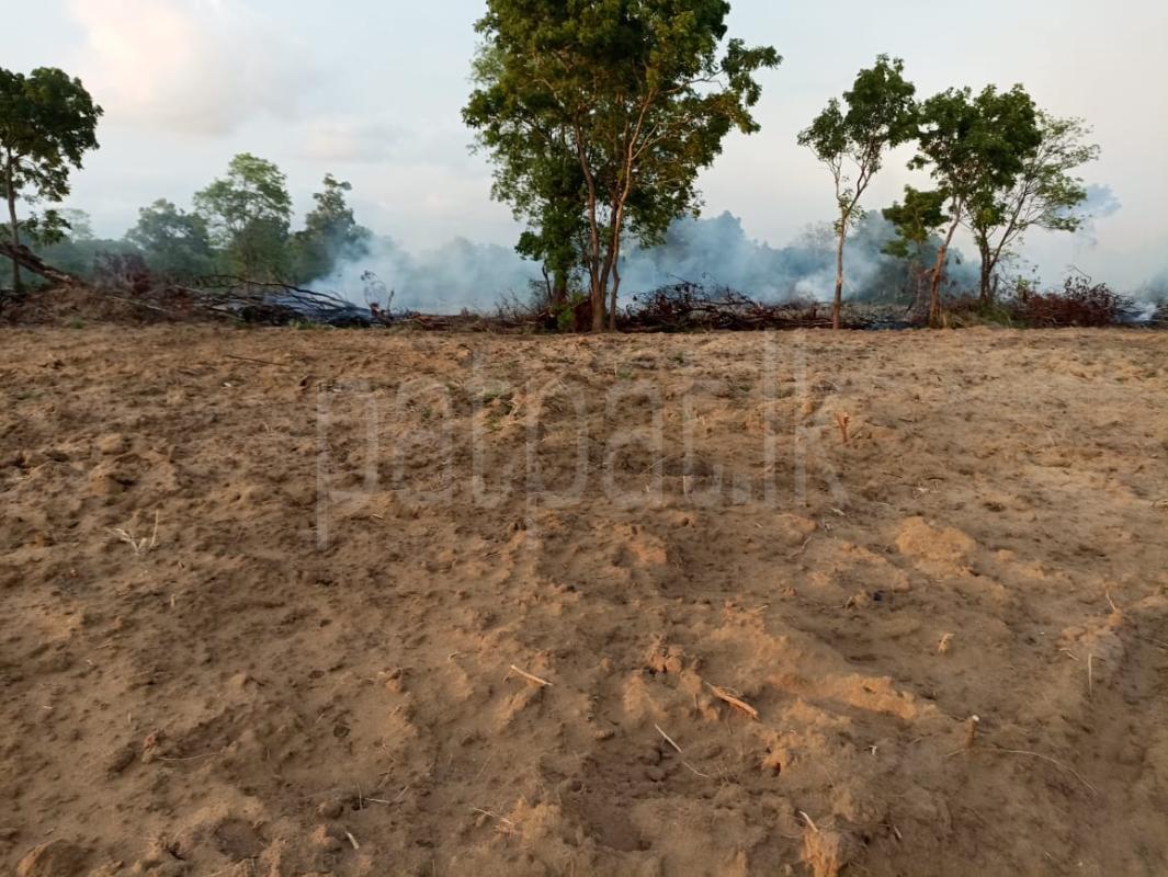 Advertisement image 6