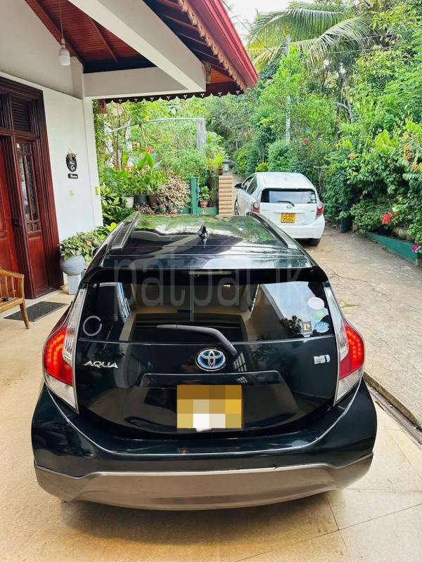 Advertisement image 6