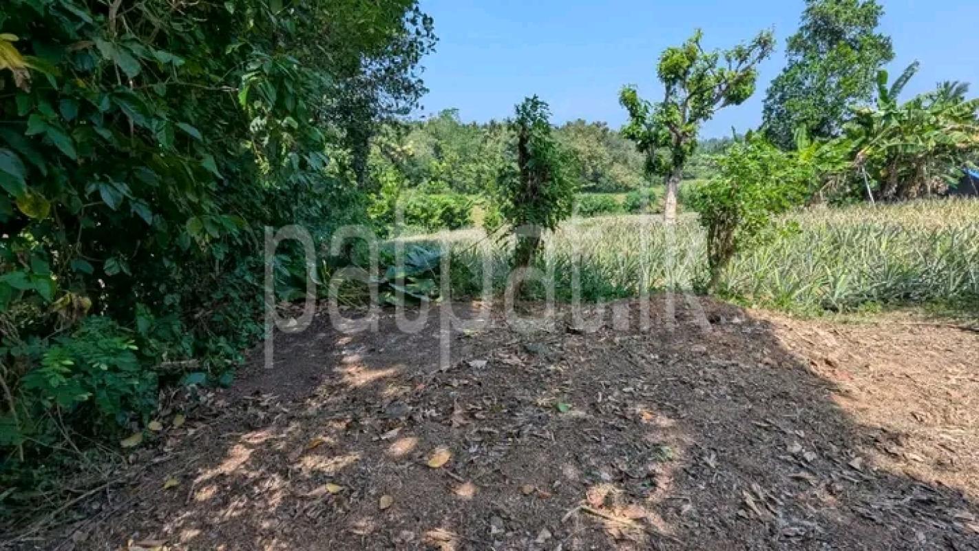 Commercial Land for Sale in Kirindiwela