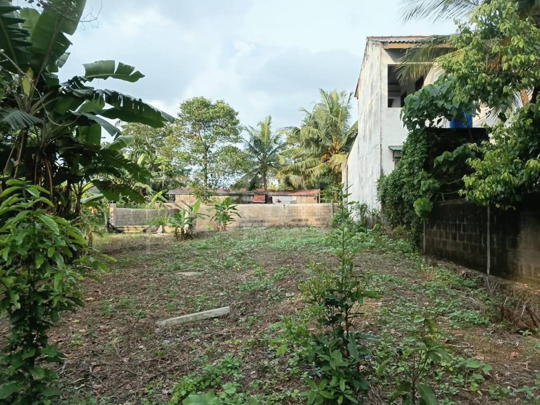 Residential Land for Sale in Kadawatha