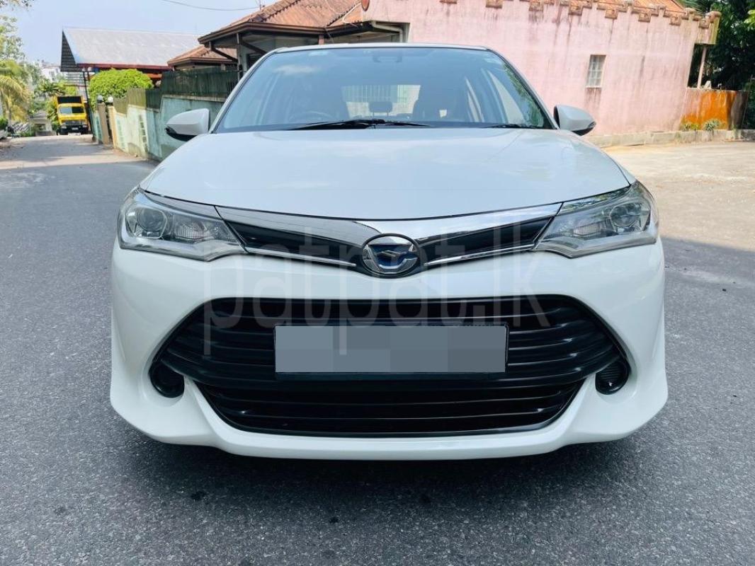 Advertisement image 2