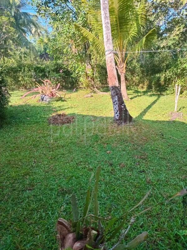 Residential Land for Sale in Ja-Ela