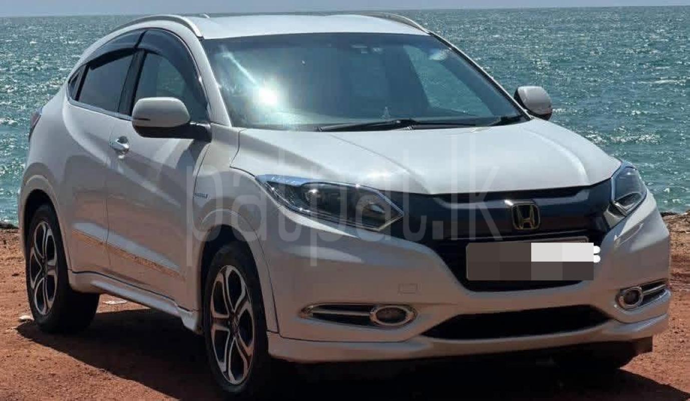 Advertisement image 1