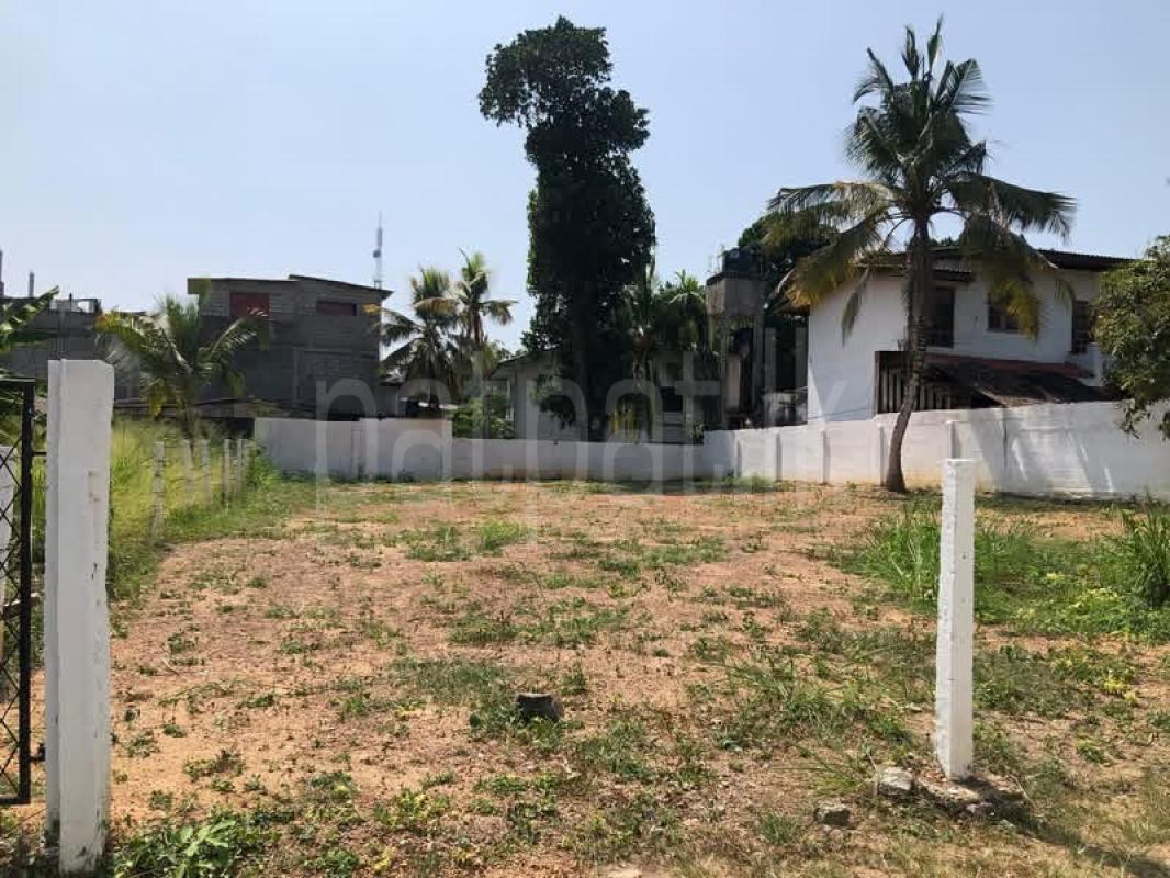 Residential Land for Sale in Pelawatta