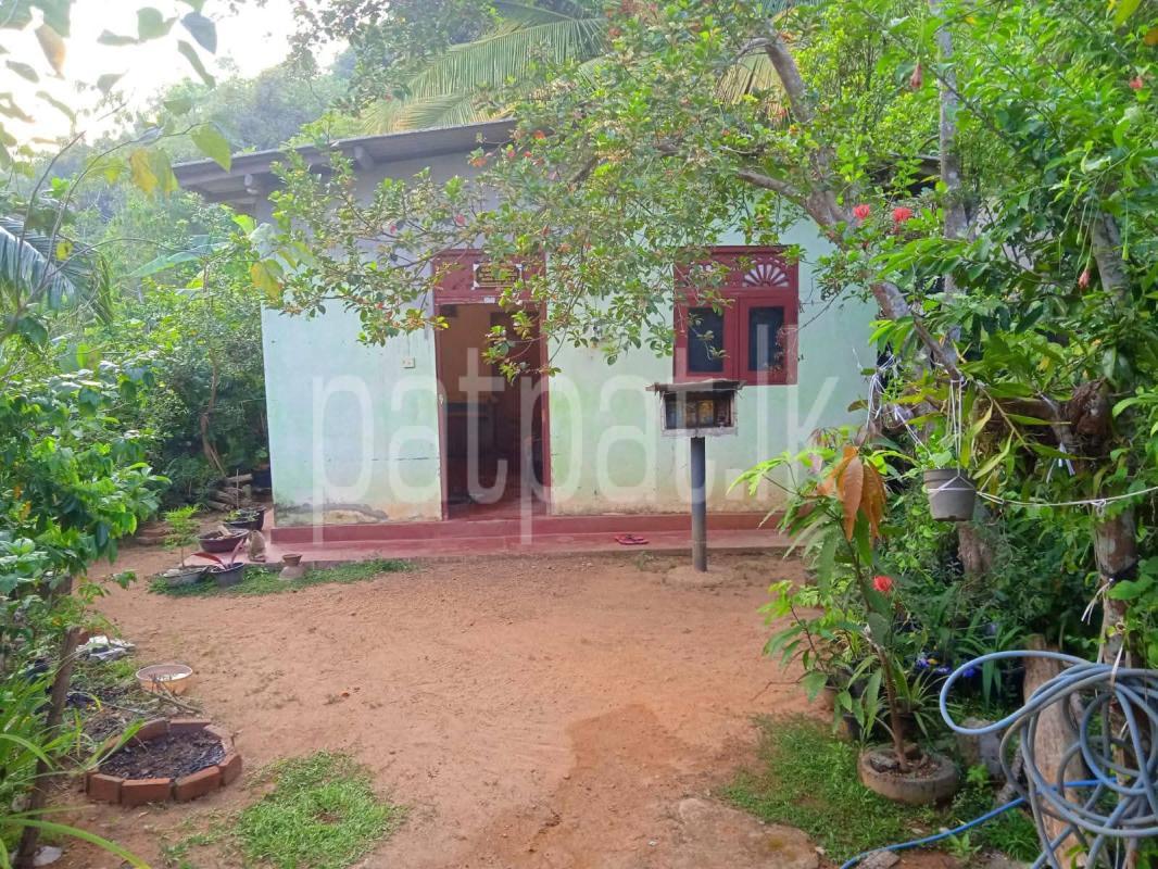 House for Sale in Delgoda ads-image-1
