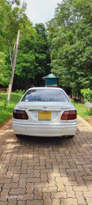 Advertisement image 4