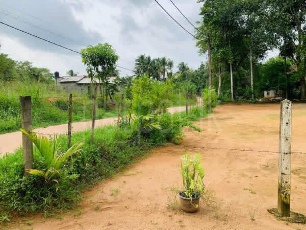 Residential Land for Sale in Divulapitiya