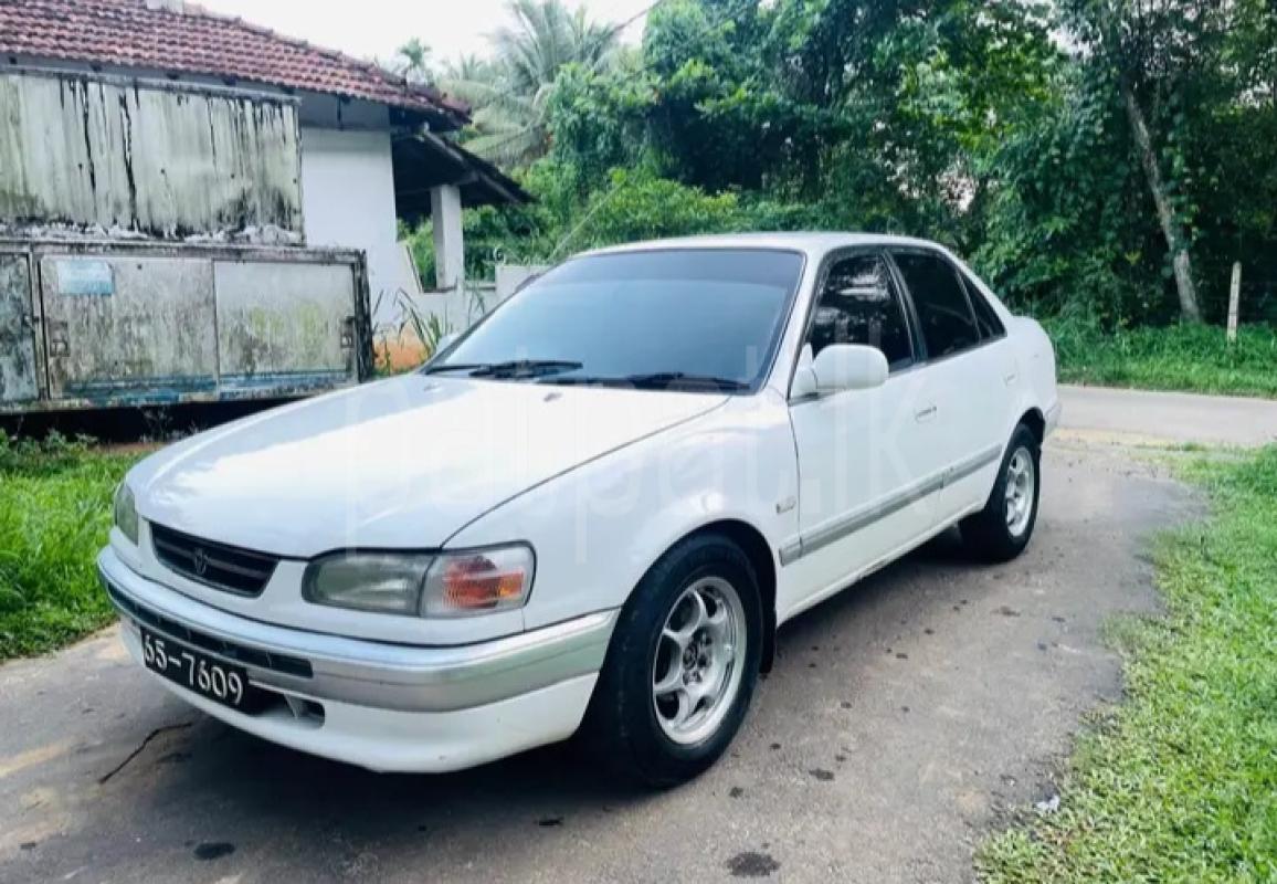 Toyota Corolla 1996 - பயன்படுத்தப்பட்டது கார் sale in Sri Lanka - patpat.lk