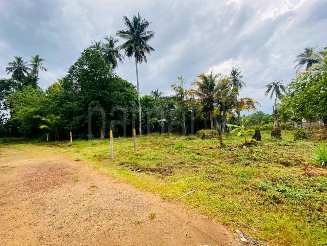 Agricultural Land for Sale in Pamunugama