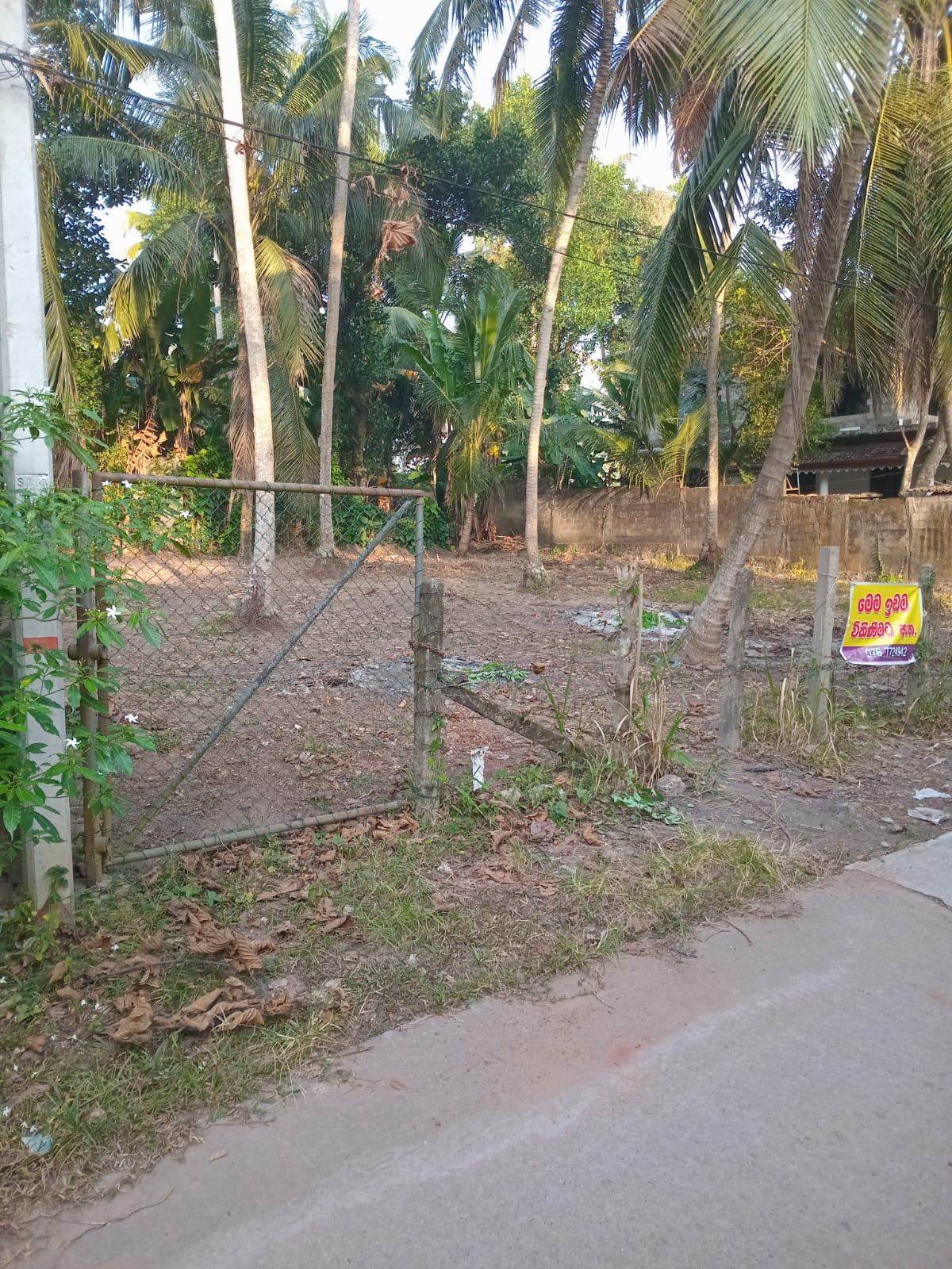 Advertisement image 4