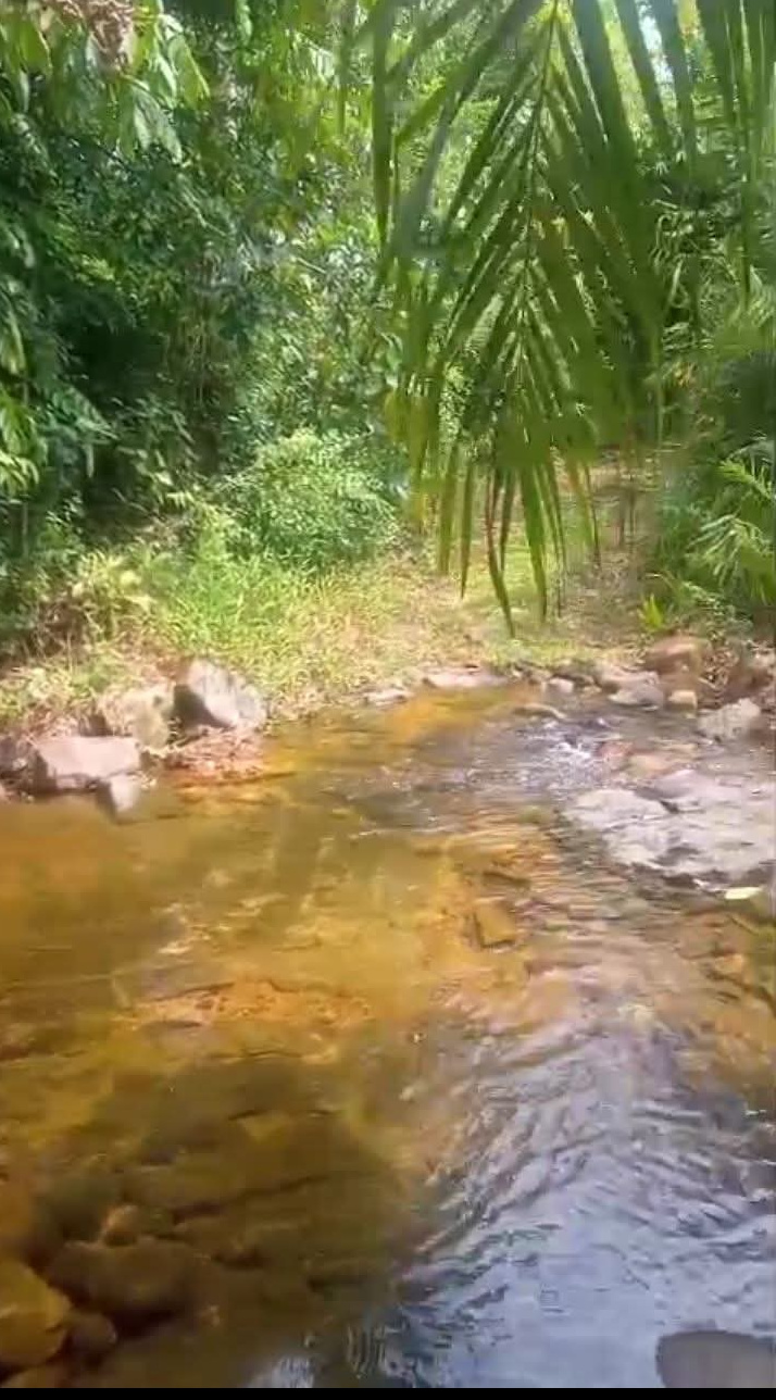 Commercial Land for Sale in Kosgama ads-image-1