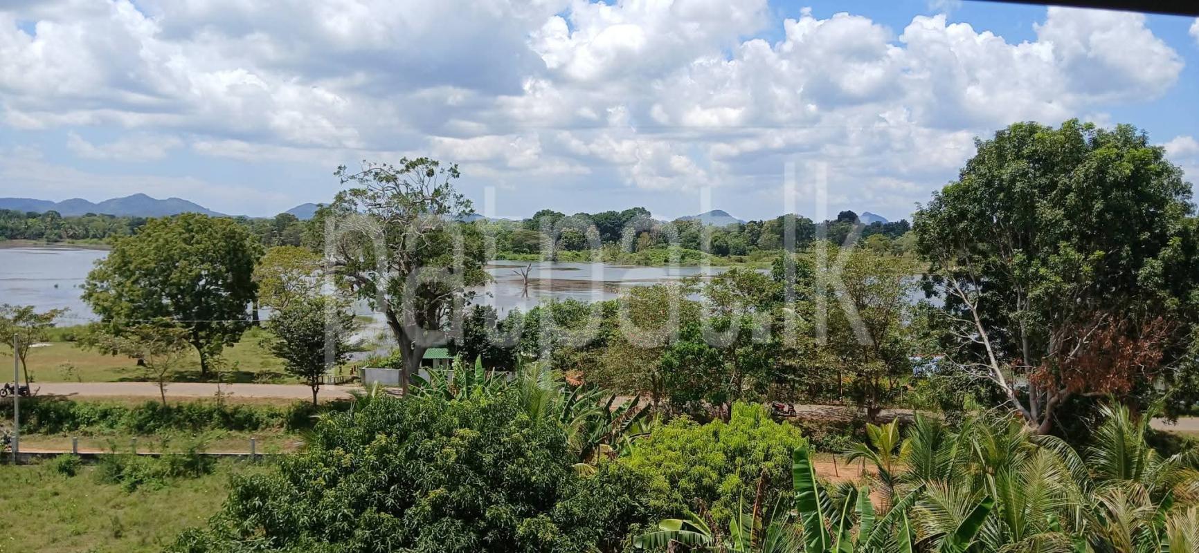 Commercial Land for Sale in Sella Kataragama