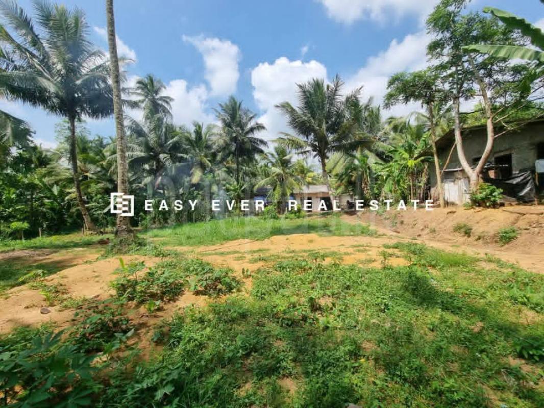 Residential Land for Sale in Pepiliyawala