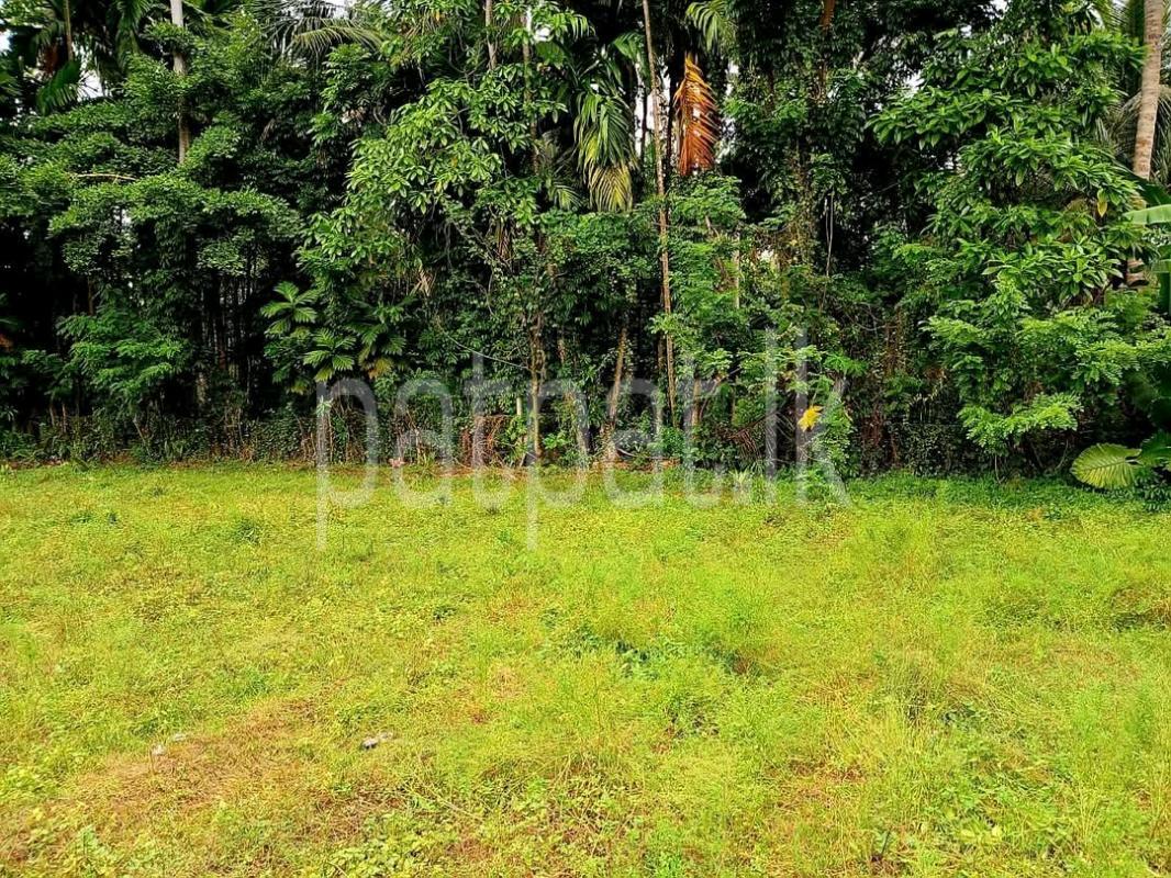 Residential Land for Sale in Panadura ads-image-1