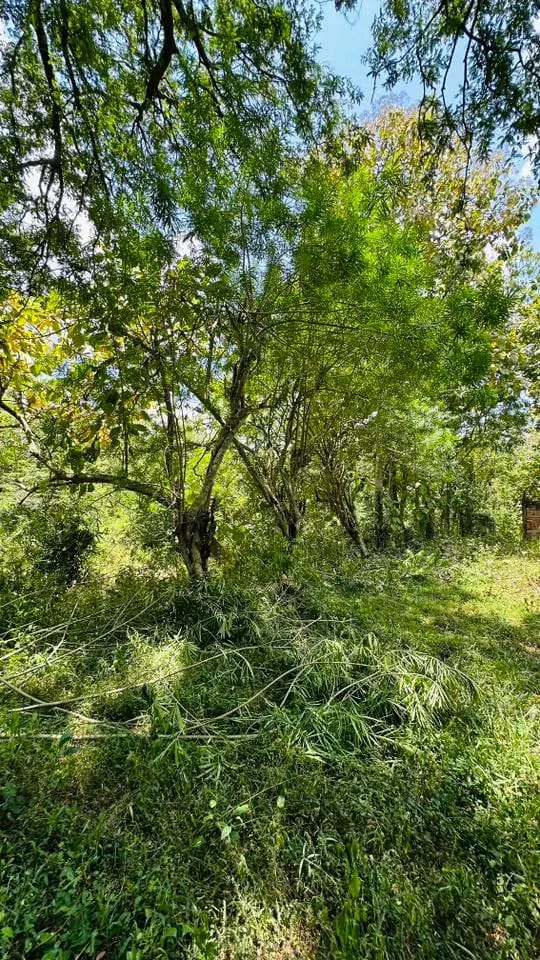 Residential Land for Sale in Badulla